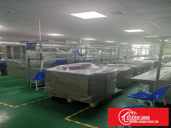 临深靓盘￥无尘车间整层1500平