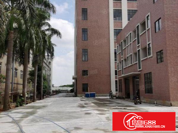 大岭山原房东全新厂房出租。