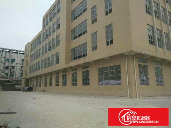 清溪铁松全新独院厂房4850平方高度6.5米超大电