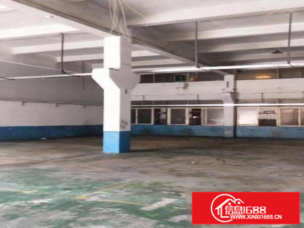 荔横一楼400平方厂房出租，新出厂房