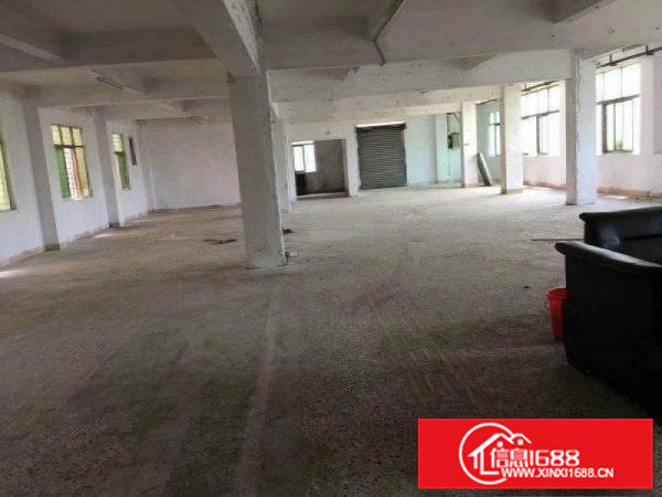 大岭山大塘原房东独栋民房2层800平方出租无公摊