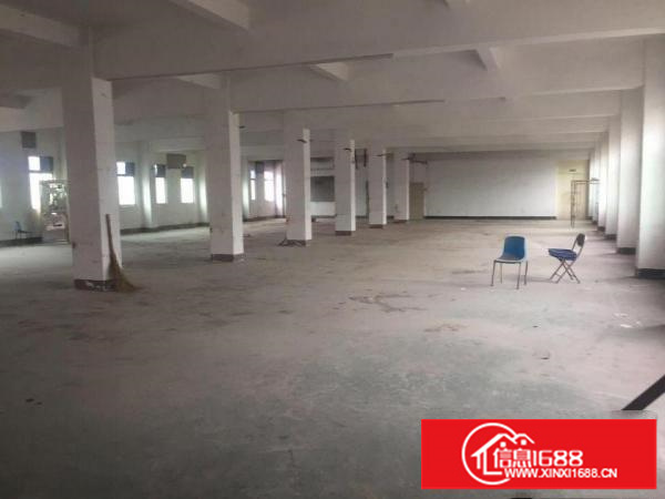 坪山新区石井新出700平楼上带装修