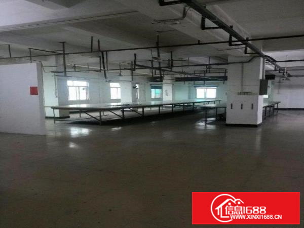 八楼，制衣厂裁床丶线路、灯光设备。有电梯有保安。，