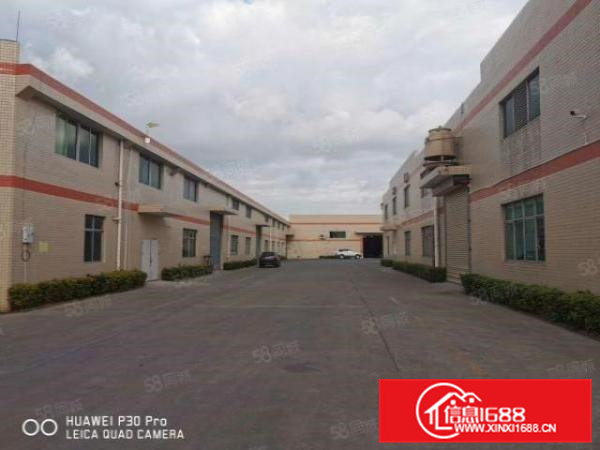 清溪镇新出9米高单一层厂房9850平米低价出租，可分租