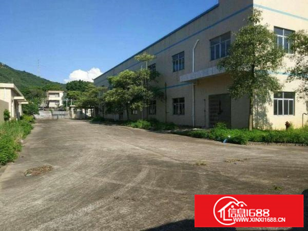 仲恺高新区单一层独栋出租3320平大小可分