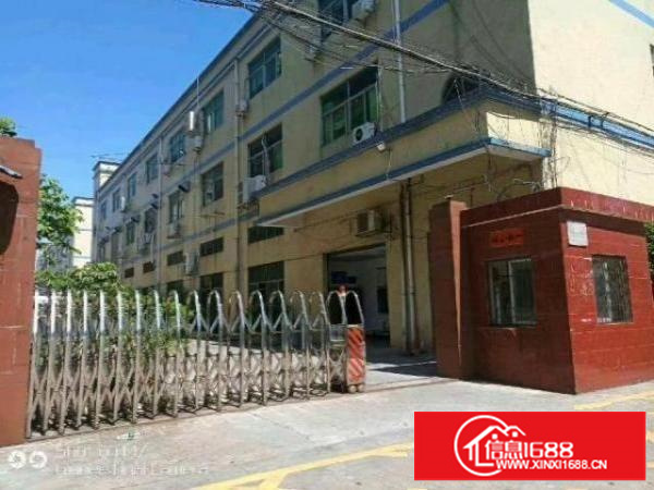 西乡独院厂房1-3层6000平米招租