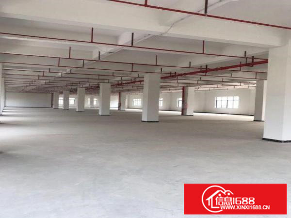 全新厂房1300平金刚砂喷雾处理地面，层高4.5米，2吨货梯