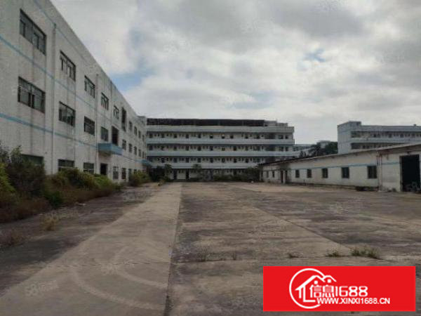 坪山金碧路边分租一楼800平层高5米有卸货平面积实在