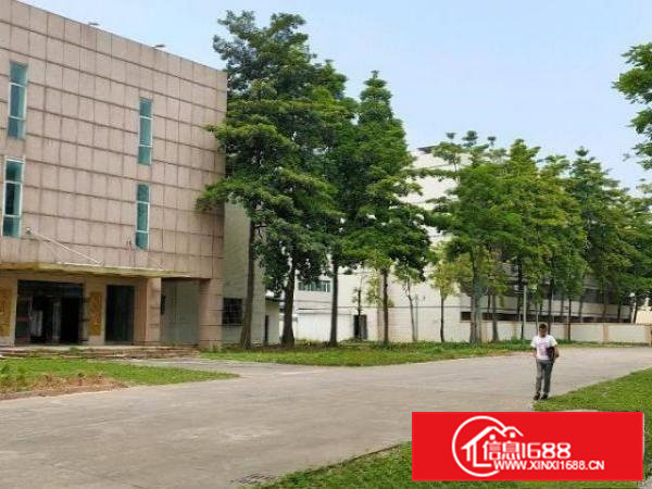 桥头镇园林式独院框架厂房6000方出租