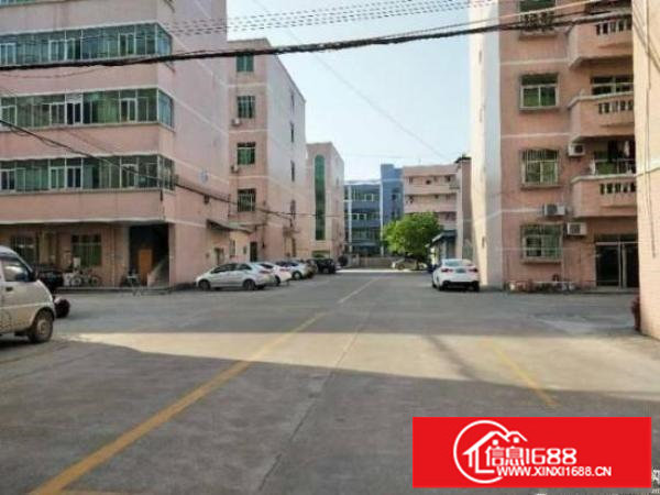 龙岗龙东原房东实际面积一楼1300平米出租