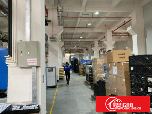 一楼4000平米，独立办公室！带牛角！可办环评