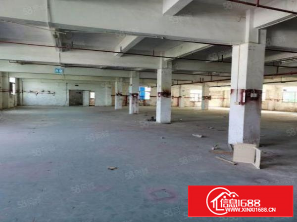 凤岗原房东大空地独院厂房8000平方(靠山)招租