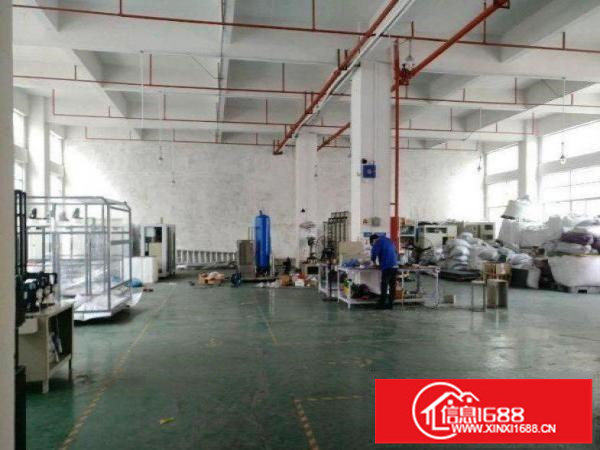 （龙城街道带装修，手慢无）1楼900平带装修厂房出租