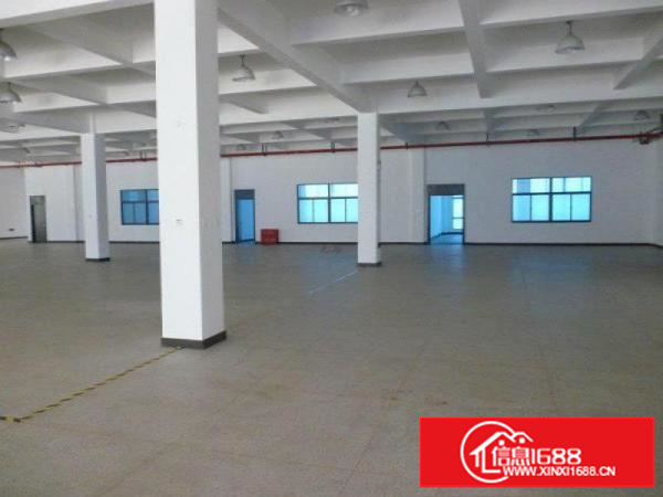 新生350平800平1500平厂房出租可分租