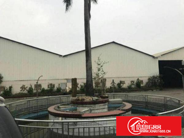 清溪大利?独门独院简易厂房4800方