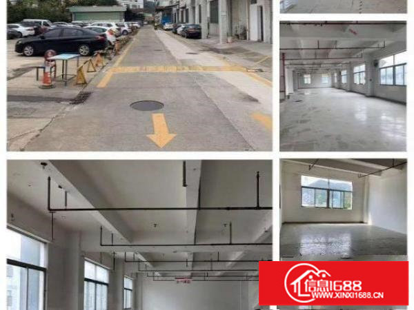 横岗六约原房东66平方到500平方大小面积分租包简单装修