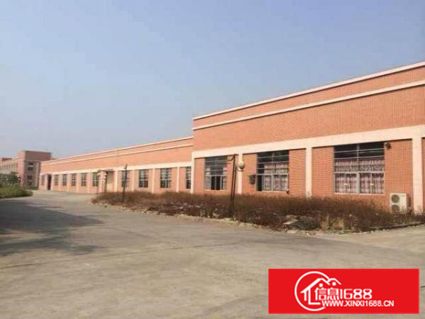 东莞桥头新出3900㎡单一层厂房出租——经济实惠