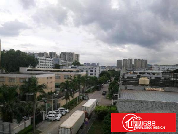 平湖辅城坳顺平路口300平米厂房招租