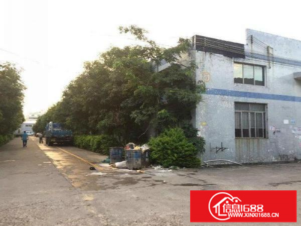 惠阳秋长原房东钢构600平出租无公摊滴水7米带装修配电按需