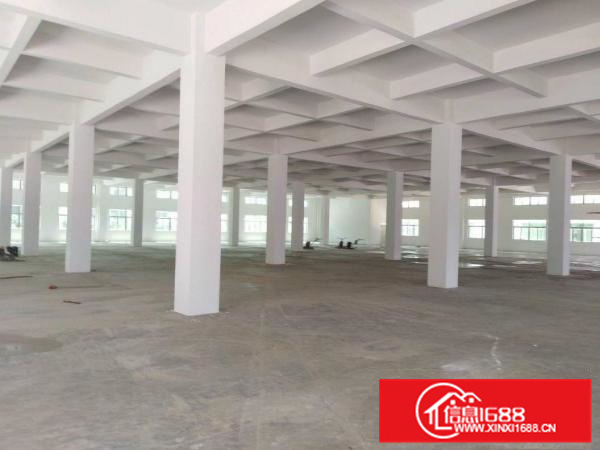 泰美300平方起租证齐工业园