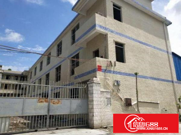 坪山坑梓金沙标准独院工业厂房三层2571平招租（可分租）