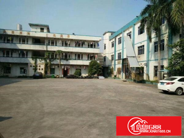 出租桥头镇原房东独院厂房总面积8000平方可分租