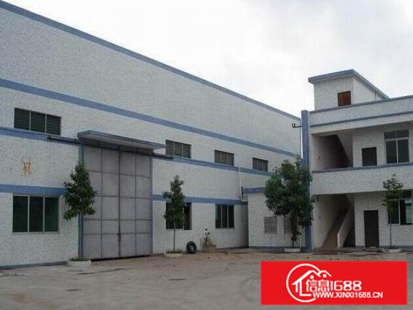 大岭山杨屋紧靠国道边新出独门独院2200平方精装修