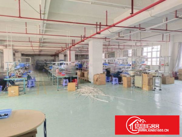 有证北滘园区550方标准厂房出租价格便宜A