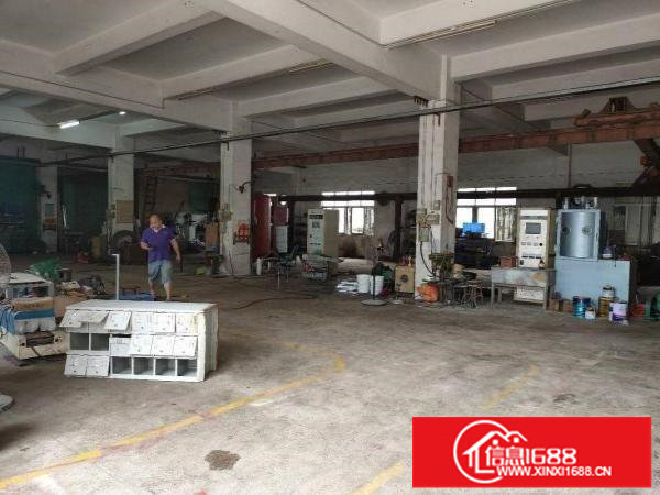 一楼实际面积出租可分租