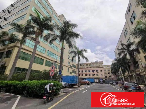 布吉丹竹头楼上1680平米办公仓库厂房出租（可分租）