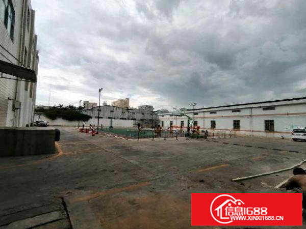 厂房仓库综合楼3楼整层可分租