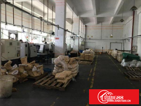 惠阳新圩镇长布新出红本厂房一楼450平出租，靠近主干道