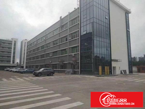 龙岗南联大型工业园3000平带装修厂房出租可分租