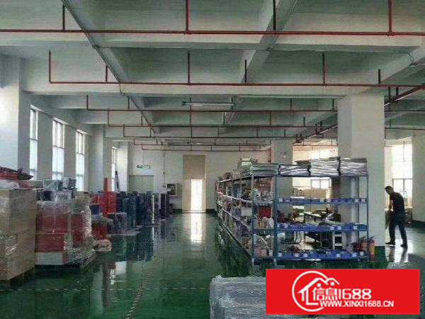 坪山原房东一楼550，二楼1100平厂房出租可分租！