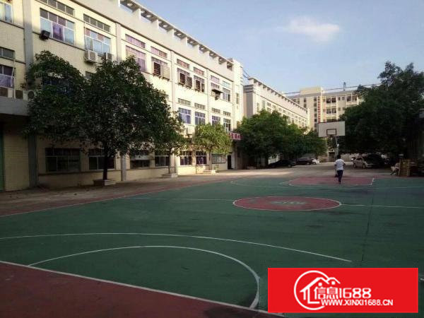 急租！！！凤岗新出6000平方独院厂房出租