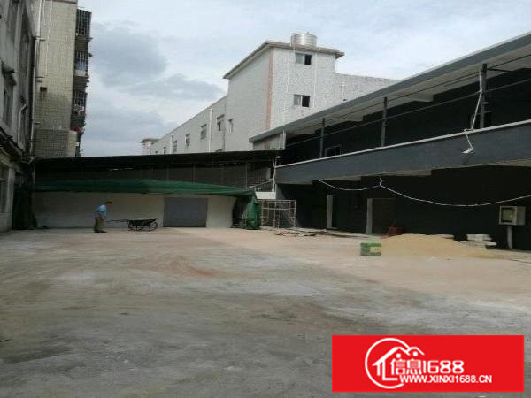 坪山碧岭金碧路597号厂房2800平米厂房招租