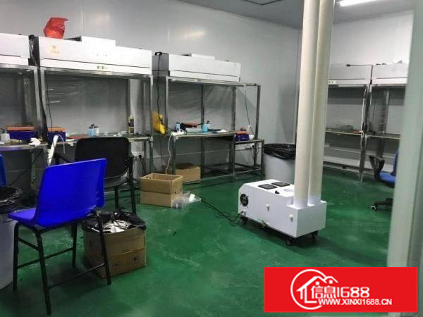 出租龙岗区平湖无公摊厂房