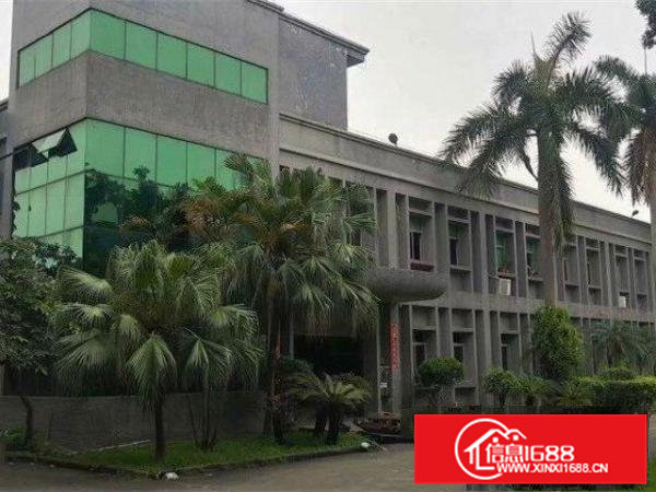 跳楼低价出租大岭山镇工业区标准900平厂房，价格优惠