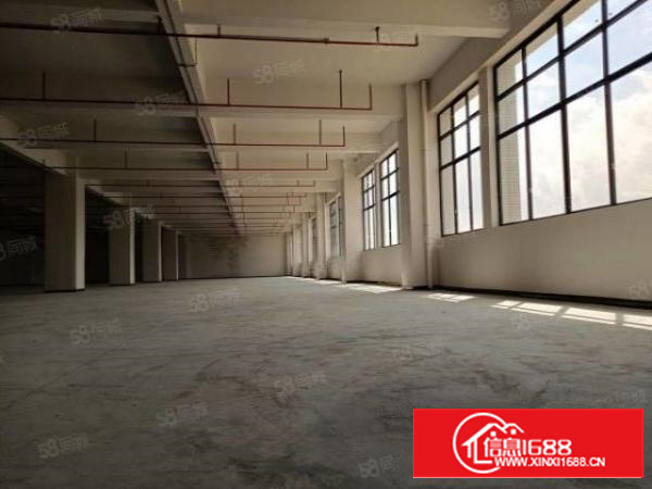 特价特价！寮步大进工业区新出标准厂房楼上1899平，只租8元