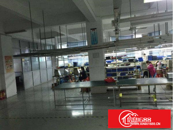 龙岗区龙西楼上1200平精装修厂房出租