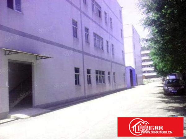 横沥镇新城工业区大型厂房出租可按需分租