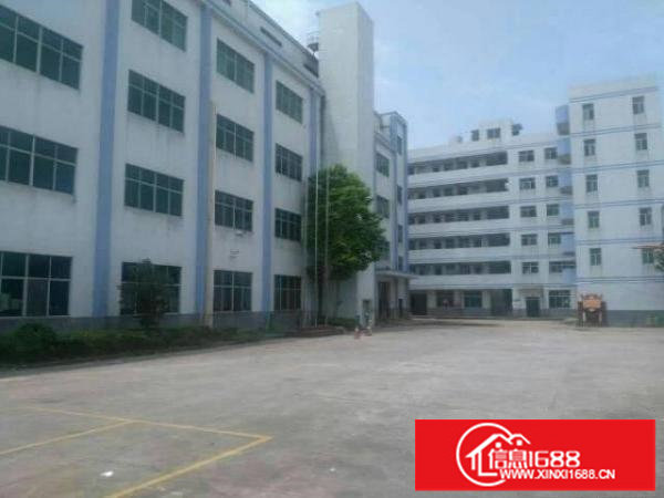 坪山田头村新出三楼带装修厂房460平招租