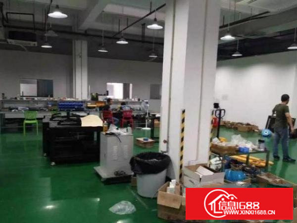 龙华大浪新百丽原房东1200平办公厂房出租，全新精装修