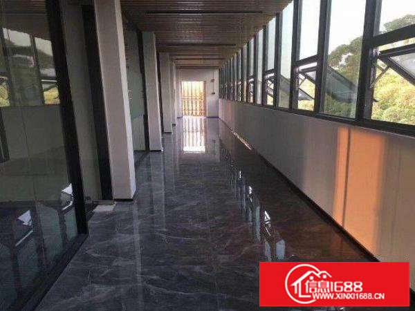 坂田旧区原房东消防喷淋齐全配备两部货梯