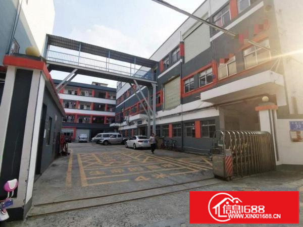 观澜樟坑径八百平带红本独门独院厂房出租一百分租整租