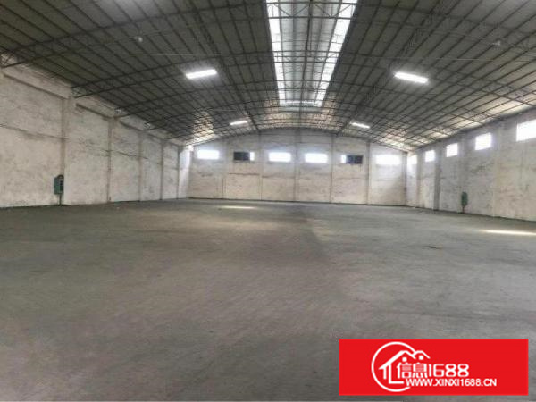 新出独门独院厂房出租带办公空地大交通方便