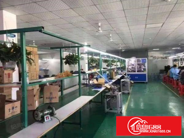 便宜租清溪新出精装修楼上700平米，有地坪漆