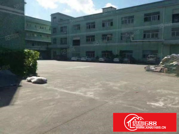 大岭山大塘3楼1000平标准厂房出租全新地坪漆消防喷淋可分租