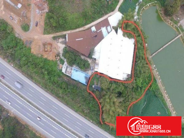 厂房和厂房后绿地养鸡养鸭