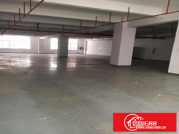 凤岗金凤凰楼上带装修办公室电子电商仓库厂房出租1200平